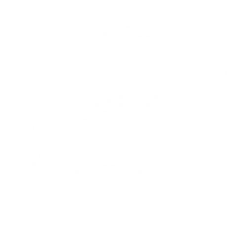 Zenzo Bali Logo